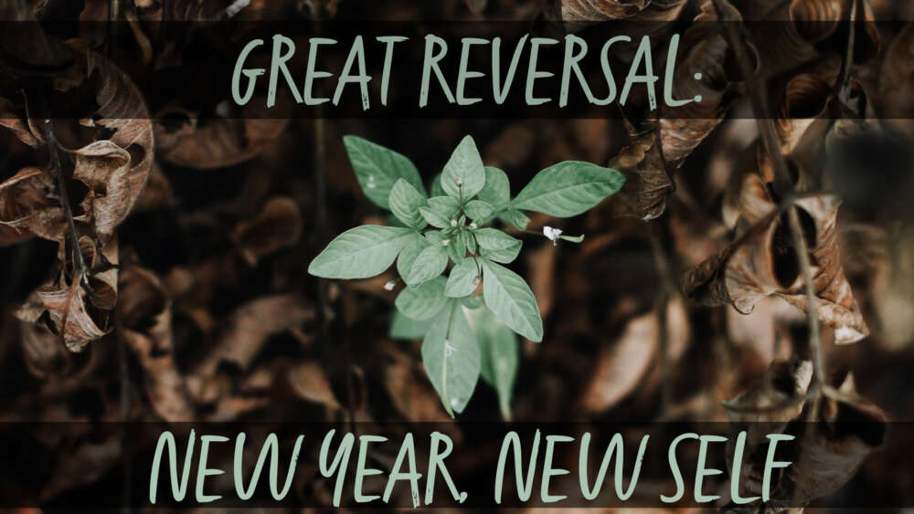 Great Reversal: New Year, New Self Image